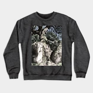 Tree on the rock Crewneck Sweatshirt